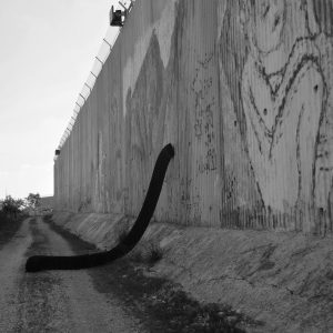 sustraia PALESTINA
